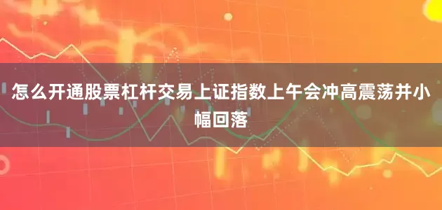 怎么开通股票杠杆交易上证指数上午会冲高震荡并小幅回落