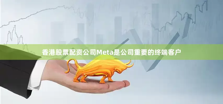 香港股票配资公司Meta是公司重要的终端客户