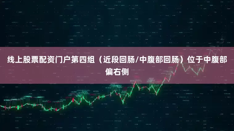 线上股票配资门户第四组（近段回肠/中腹部回肠）位于中腹部偏右侧