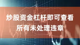 炒股资金杠杆即可查看所有未处理违章